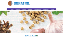 Tablet Screenshot of conatril.com.br